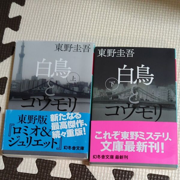 白鳥とコウモリ 東野圭吾上下