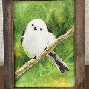 シマエナガ 水彩画 原画