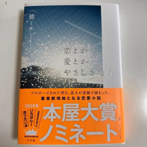恋とか愛とかやさしさなら 一穂ミチ/著