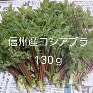 信州小谷産 採れたて コシアブラ 130g 送料込 山菜