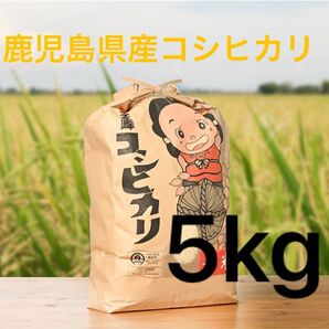 鹿児島県産 コシヒカリ 白米 5kg 金峰コシヒカリ