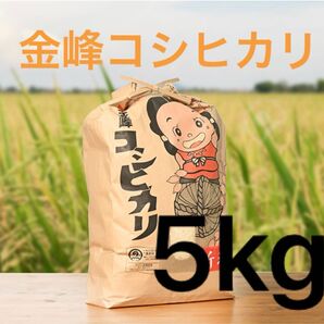 鹿児島県産 コシヒカリ 令和6年産 金峰コシヒカリ 5kg
