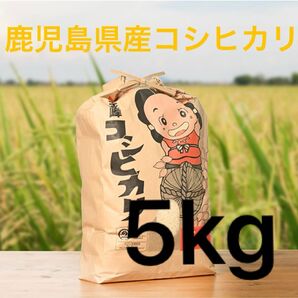 鹿児島県産 コシヒカリ 令和6年産 金峰早場米 5kg 白米