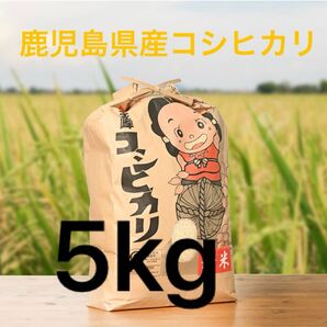 鹿児島県産 コシヒカリ 令和6年産 金峰早場米 5kg 白米