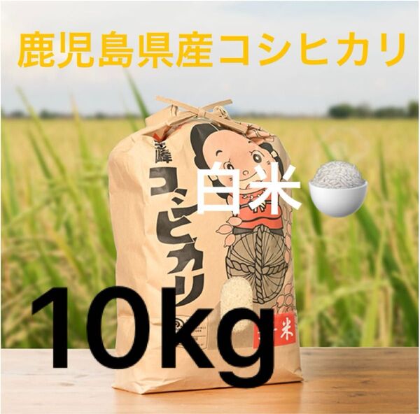 鹿児島県産 コシヒカリ 白米 10kg 金峰コシヒカリ