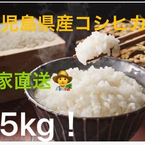 白米【1.5キロ】鹿児島県産 令和6年産 早期米 お試し価格(新米8月収穫予定)