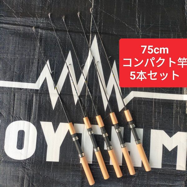 75cm 短竿 穴釣り エビ釣り コンパクトロッド 投げ竿 ハゼ釣り 5本セット 置き竿