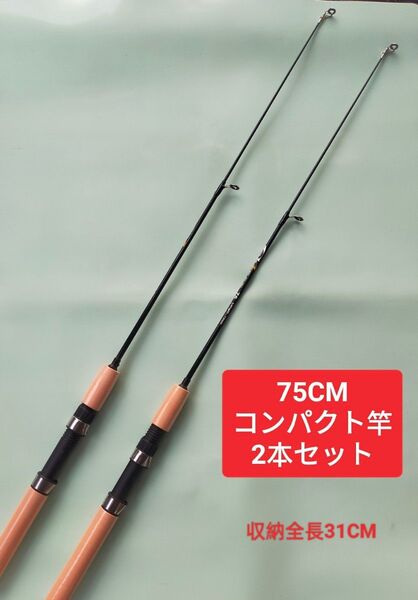 75cm 短竿 穴釣り エビ釣り コンパクトロッド 置き竿 投げ竿 ハゼ 2本
