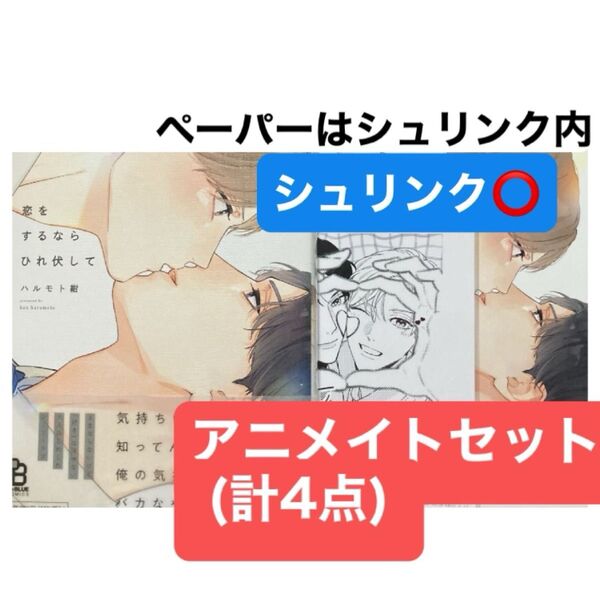 恋をするならひれ伏して アニメイト特典リーフレット、ペーパー、両面イラストカード付き