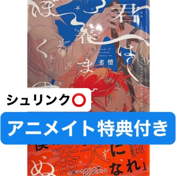君は春までぼくのいぬ アニメイト特典4Pリーフレット付き