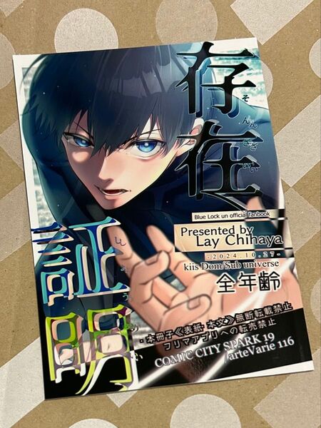 カイ潔 ブルロ 同人誌 存在証明