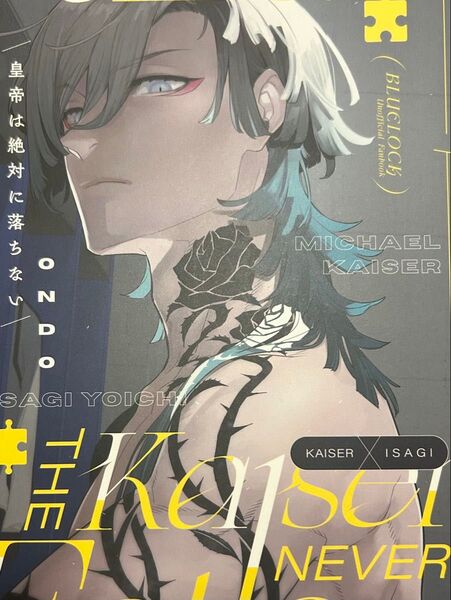 ブルーロック同人誌 カイ潔