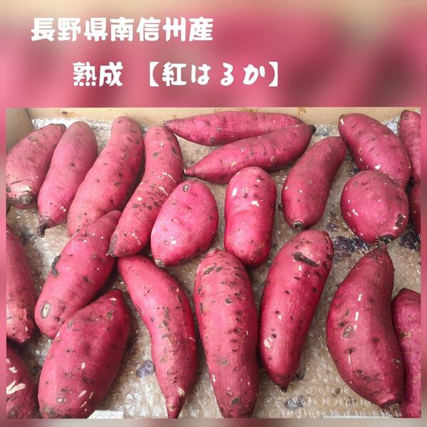 長野県 南信州産 自然栽培 熟成済み 紅はるか S〜Mサイズ混合 甘くて濃密 美容スイーツに (訳あり品 3kg)