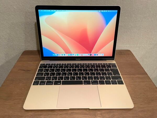 MacBook12 2015 Core M 8GB 251GB 美品です!
