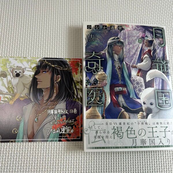月華国奇医伝 第十三巻 13