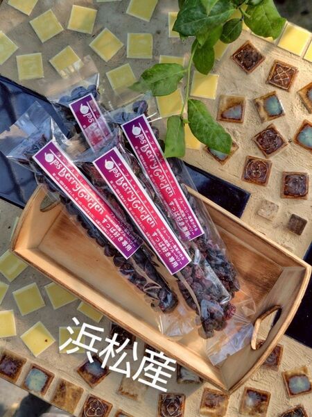 無添加乾燥ブルーベリー25g(1袋)×4 すっぱ好き専用