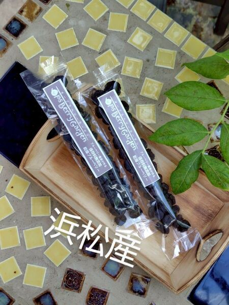 無添加乾燥ブルーベリー25g(1袋)×2