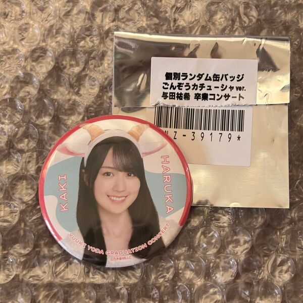 乃木坂46 賀喜遥香 個別缶バッジ 与田祐希卒コン ごんぞうカチューシャver