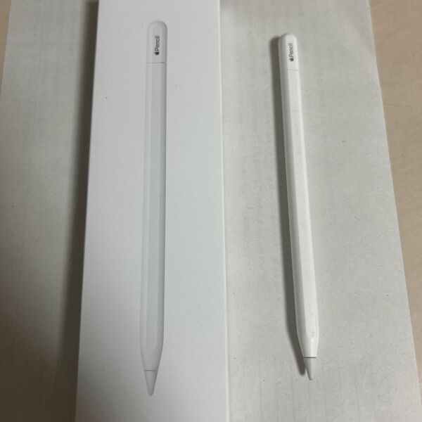 Apple Pencil USB-C ホワイト