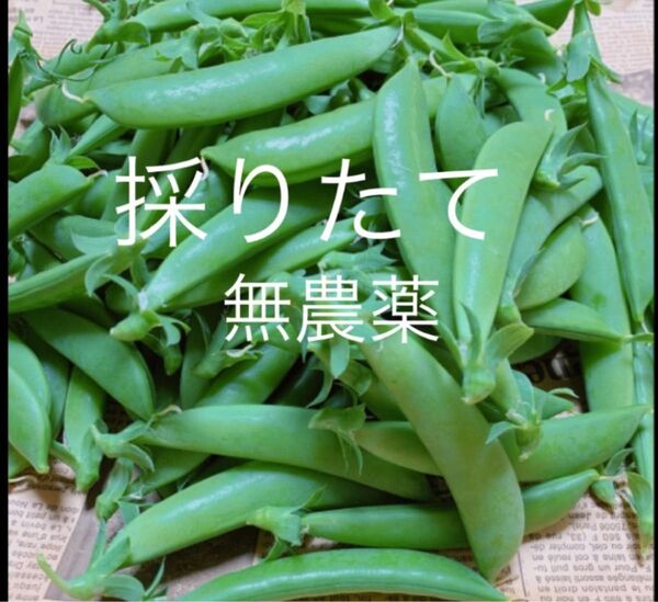 スナップエンドウ700g 無農薬
