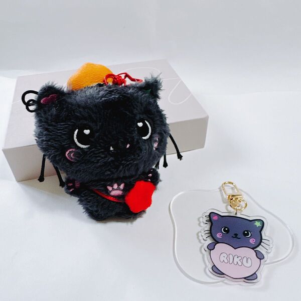 NCT WISH DOLL リク RIKU ぬいぐるみ キーホルダー キーリング