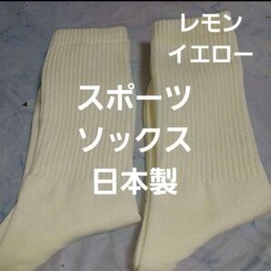2足組♪ 綿混☆ ソックス(23~25)