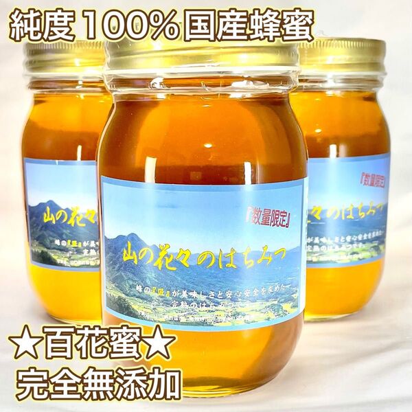 純粋生はちみつ 国産非加熱 600g ×3個 即購入OK