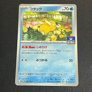 コダック しめりけ ジムプロモ