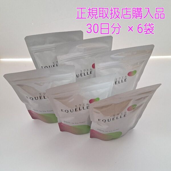 大塚製薬 エクエル パウチ120粒入30日分 ×6袋