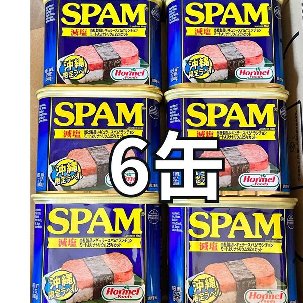 沖縄の味!スパム ポーク ランチョンミート 減塩味 340g 6缶 ポークおにぎり 沖縄土産 保存食 ポー玉 チャンプルー