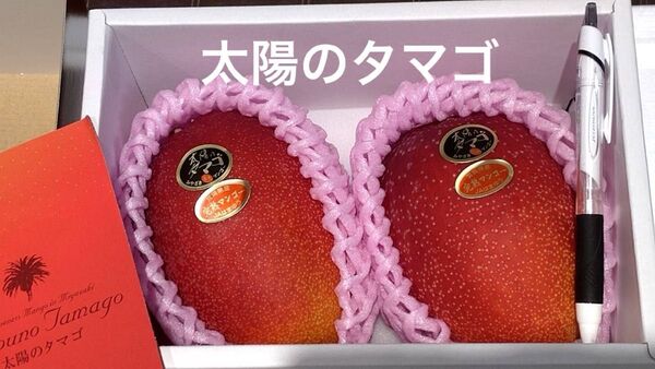 宮崎県産 完熟マンゴー 大玉2個入り 3L