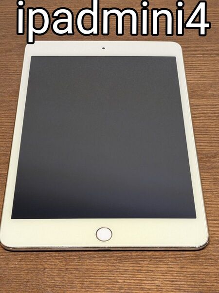 【匿名配送】ipadmini4 16GB ジャンク品
