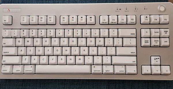 REALFORCE R3 キーボード ハイブリッド テンキーレス 45g Mac用配列 英語配列 R3HH21