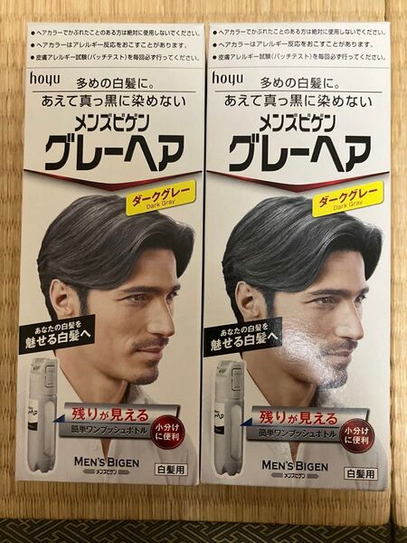 メンズビゲン グレーヘア ダークグレー×2