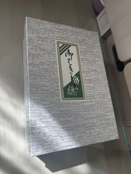 お履き物 本革 草履 レディース 高級特選 デパート そごう 長さ23.5cm