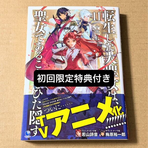 転生した大聖女は、聖女であることをひた隠す