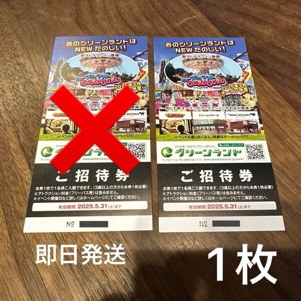 グリーンランド 招待券 入場券 1枚