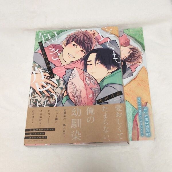「長くも短き恋の話」市川けい アニメイト特典4Pリーフレット付き