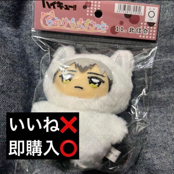ハイキュー!! ちみけもますこっと 北信介 稲荷崎 ぬいぐるみ キーホルダー