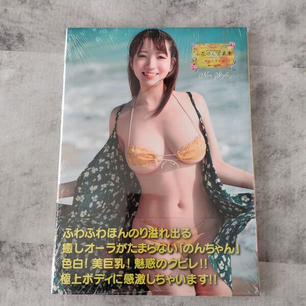 未開封 小花のん 写真集 のんスタイル