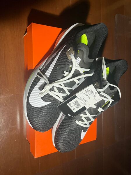 ナイキ AIR ZOOM RIVAL 4 エア ズーム ライバルフライ 4