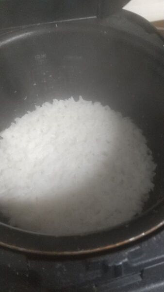 新潟県、白米、2kg おすすめ