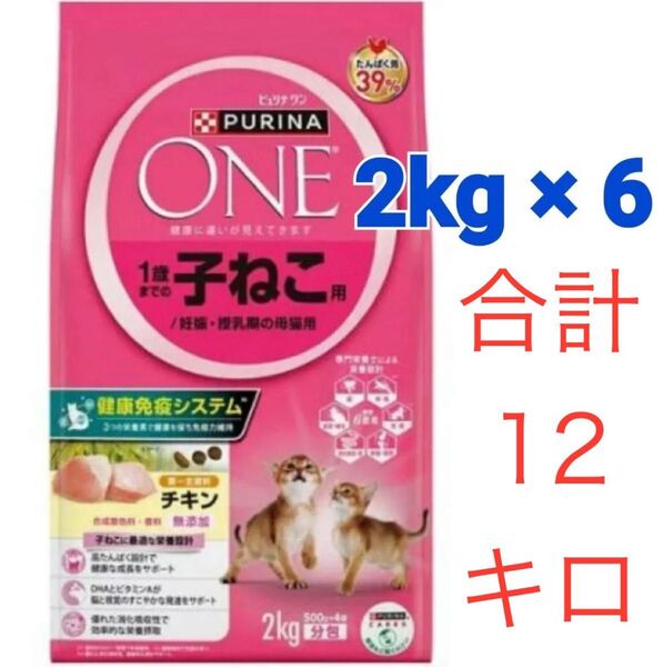 新品★定価約16000円分★ピュリナワンキャット 1歳まで子猫/妊娠授乳期母猫チキン2kg×6袋セット 賞味期限2026年5月