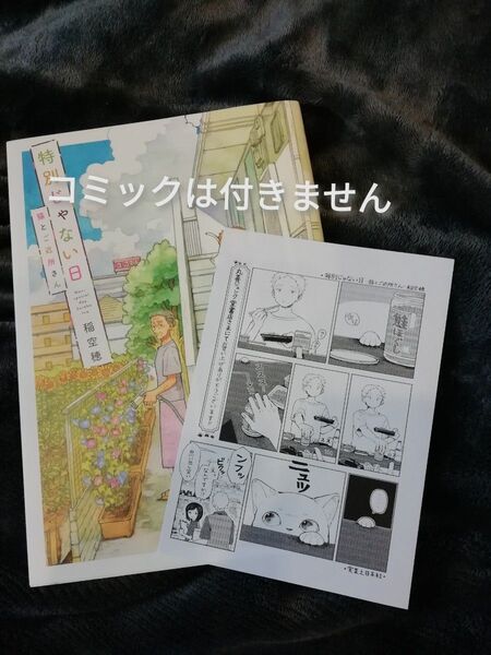 特典ペーパーのみ 丸善ジュンク堂★特別じゃない日 猫とご近所さん 稲空穂礼★同梱200円引き