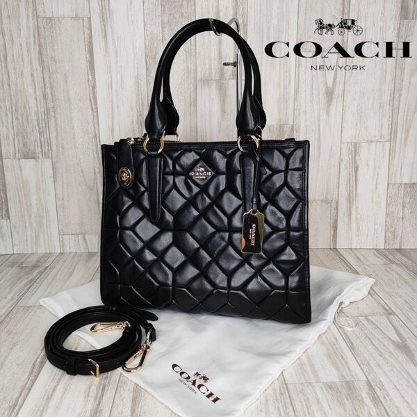 COACH コーチ レザー 2WAY ハンドバッグ ショルダーバッグ 50