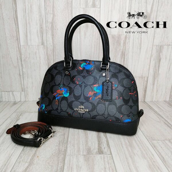 COACH コーチ シグネチャー 2WAY ハンドバッグ ショルダーバッグ 55