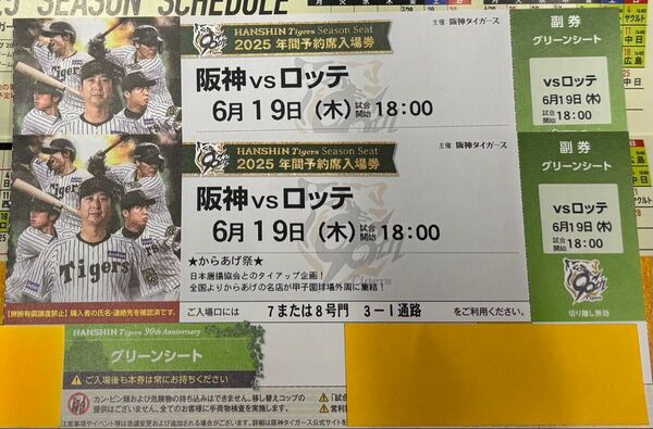 阪神タイガース ペアチケット 2025.6.19 セパ交流戦 アイビーシート ブリーズシート 伝統の一戦 土 金 日
