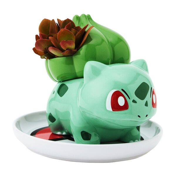 新品未開封 完売品 ポケモンセンター限定 フシギダネ ミニ植木鉢