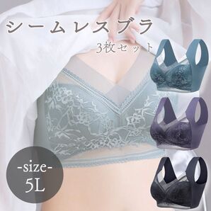 【セール】シームレスブラ3枚セット 5L 4XL 着痩せ ナイトブラ ノンワイヤー 大きいサイズ 小さく見せる 着痩せ 美乳