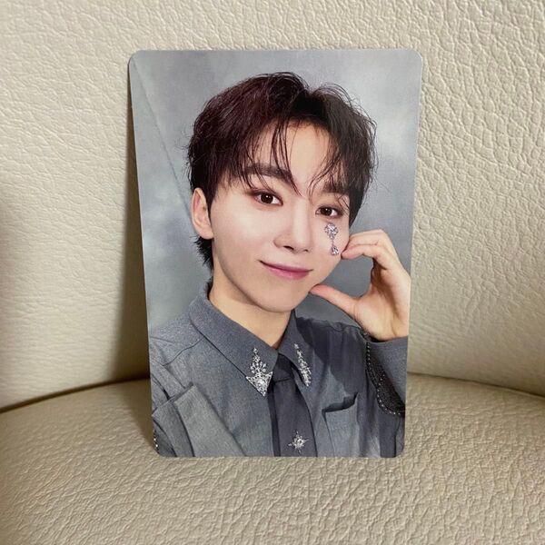 セブンティーン スングァントレカ 消費期限 K-POP セブチ seventeen ぶーちゃん フォトカード